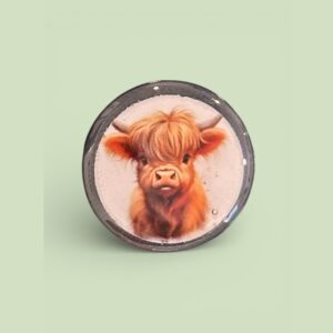highland cow xray markers